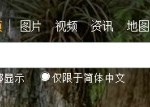 Microsoft launches Biying – China`s Bing