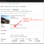 New WordPress 2.9 lets you easily add Alternate Text to images, increases organic traffic to your website