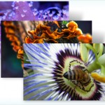 [Eyecandy] Download Earth Day Windows 7 Theme